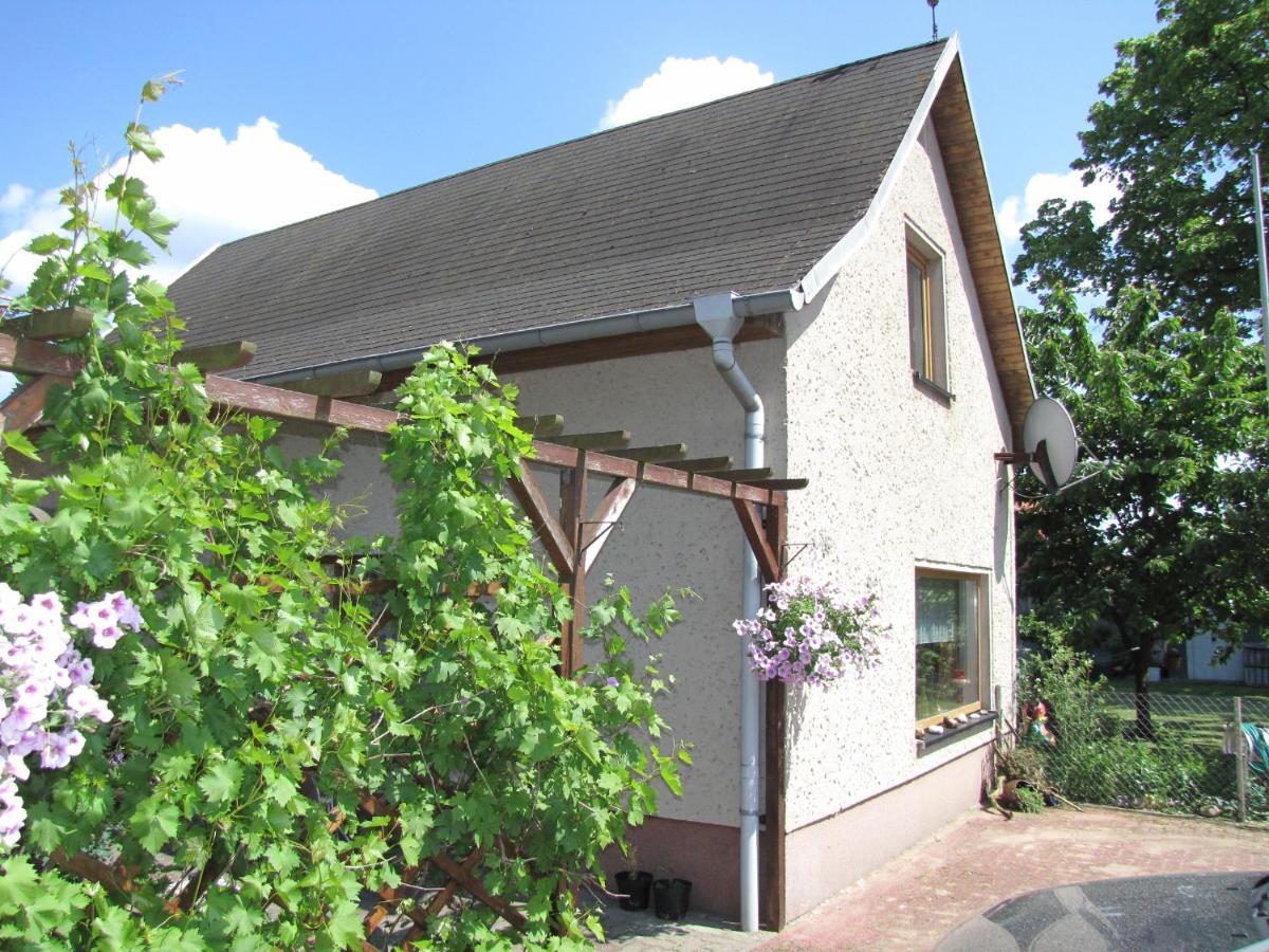 Ferienhaus Winter Dobbertin Luaran gambar